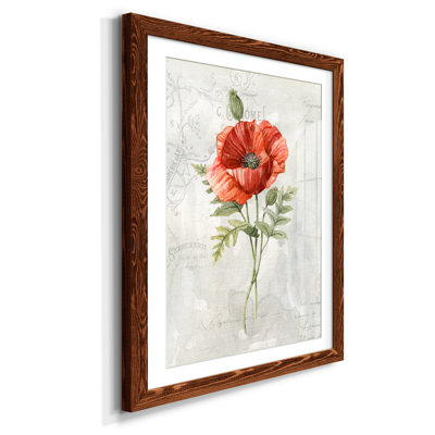 Lin coquelicot - Cadre photo, impression sur papier