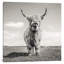 Pose by Mark Gemmell - Wrapped Canvas Giclée Art Print-41187207