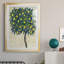 «Lemon Tree Composition I», reproduction encadrée de qualité supérieure - prête à être accrochée-1696252122-1696252126