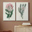 Protea N13 - ensemble de 2 impressions-909019862-909019856