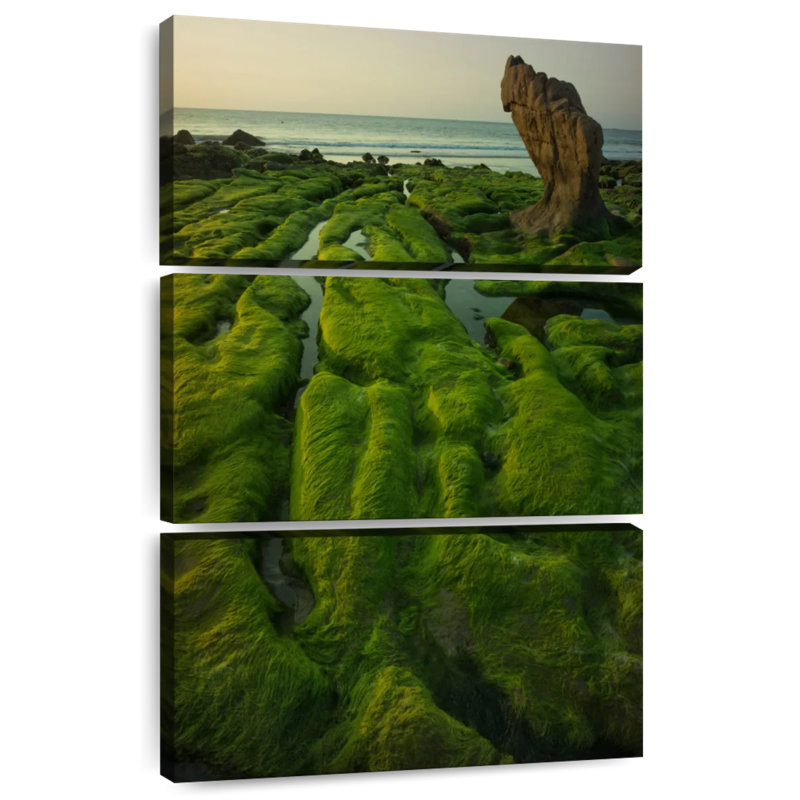 Gillard Mossy Vietnam Gillard, H 32 po x l 20 po