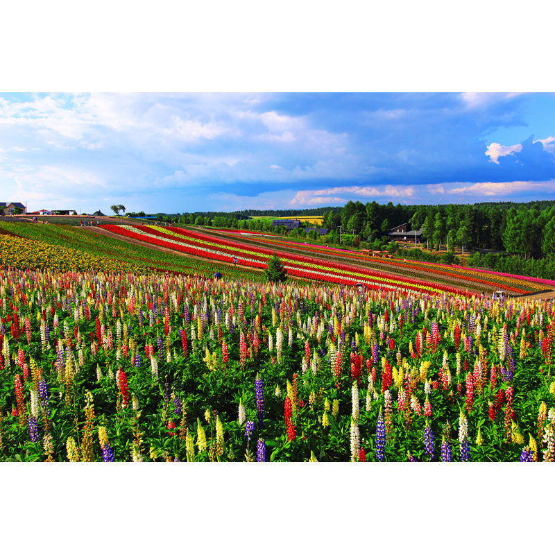Flower And Blue Sky by BankGiga - Wrapped Canvas Print, 30cm H x 46cm W