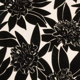 Maui Fabric