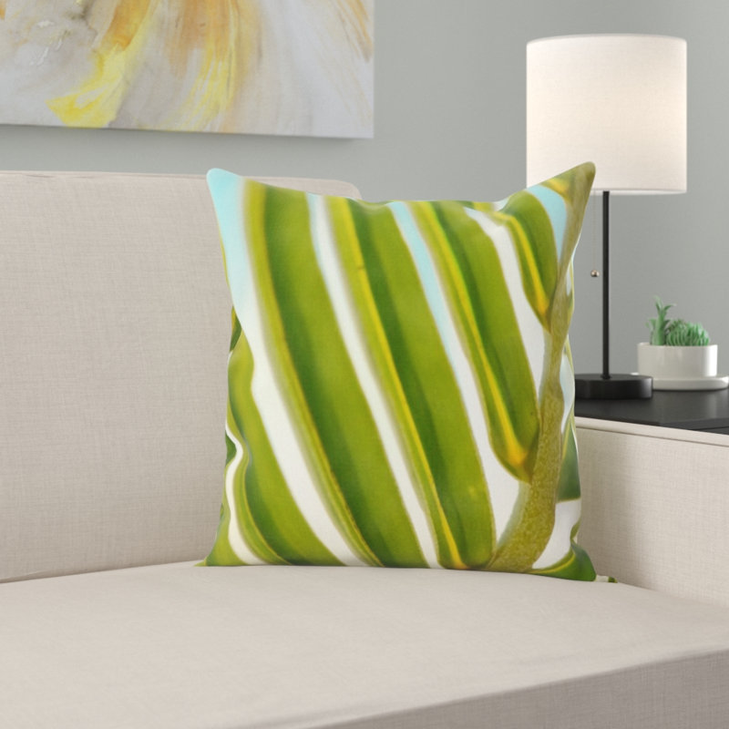 Coussin de plante