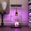Dandra Booth Display-452743096