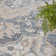 Labounty Washable Oriental Indoor Rug
