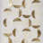 Natural Capiz With Gold Foil 2-Piece Shadowbox Wall Decor Set, Capiz Shells Shadowbox Set 