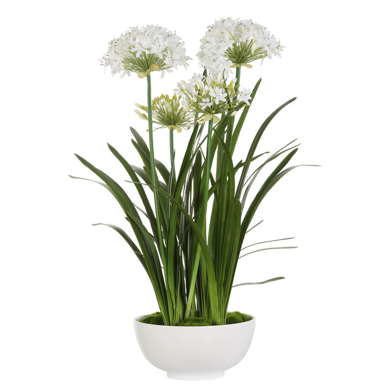 Centre de table Agapanthus de pureté