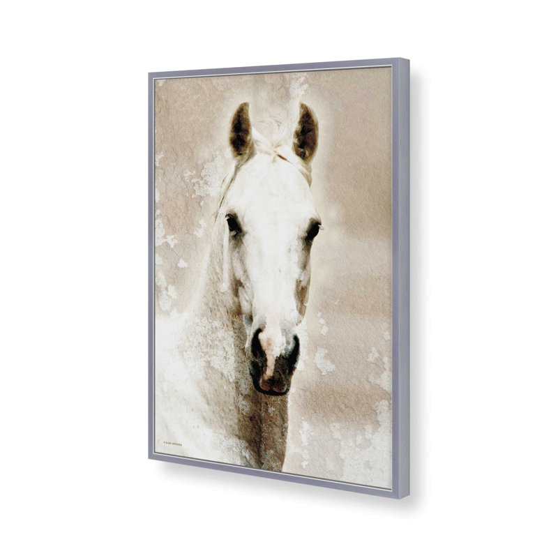 Amber by Kari Brooks Art Print, 37.5" H x 25.5" W, Silver, Framed Print