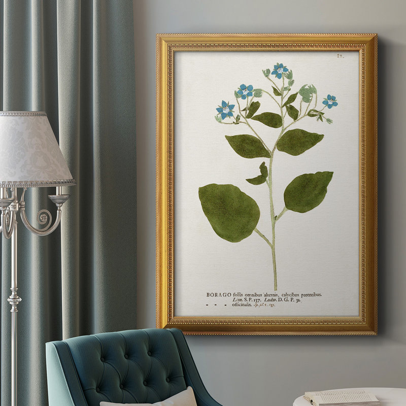 Nature imprimée Botanicals VI, toile encadrée de qualité supérieure - prête à être accrochée, H 20 po x l 16 po x P 1 po