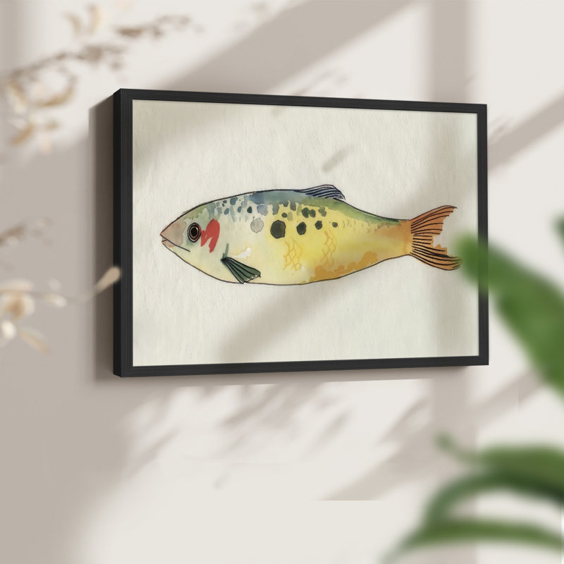 Fanciful Fish I -Framed Print - Restickable, 8" H x 10" W, Black