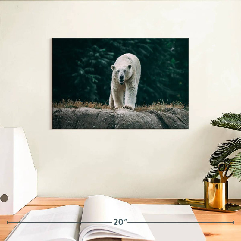 Brampt Angry Polar Bear, 8" H x 12" W