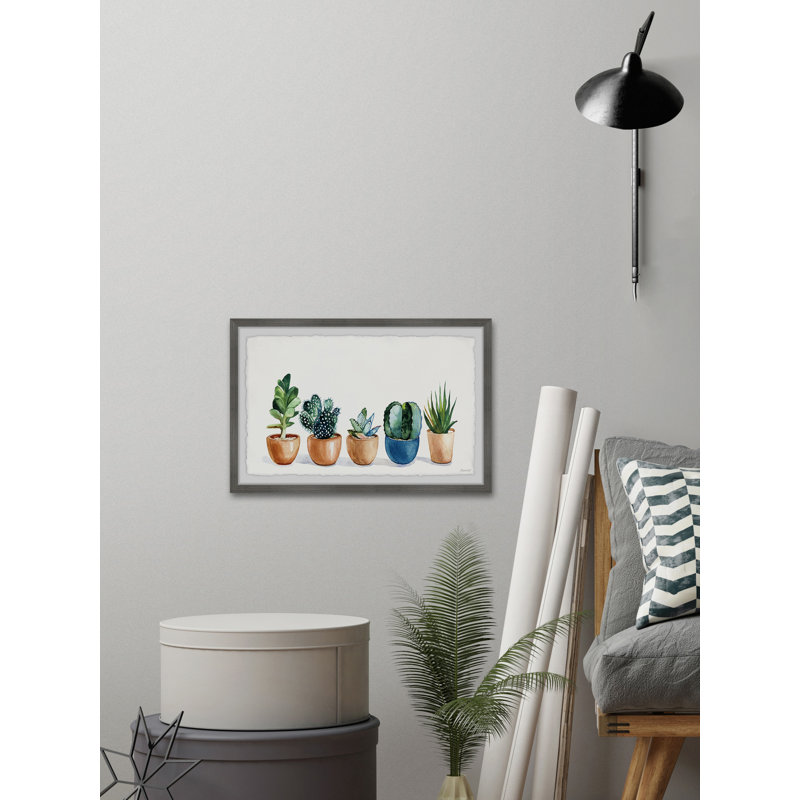 Growing Succulents - Single Picture Frame Painting, 41 cm H  x 61 cm W