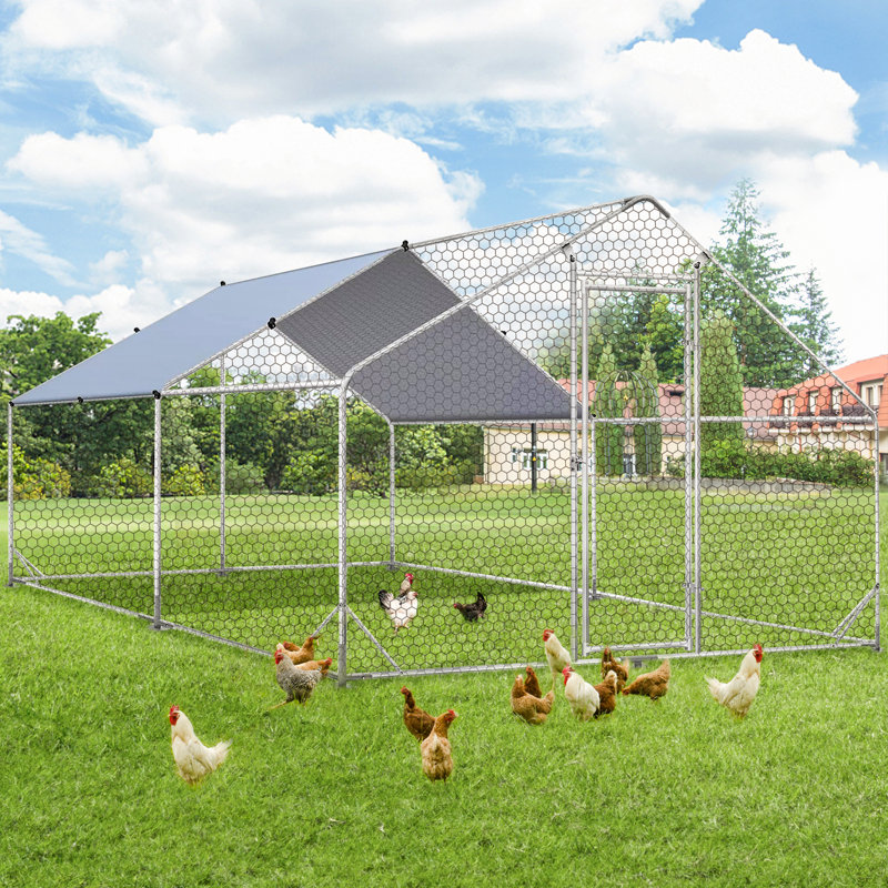 Parc à poules avec grillage Deryck