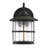 Shawsville Outdoor Wall Lantern