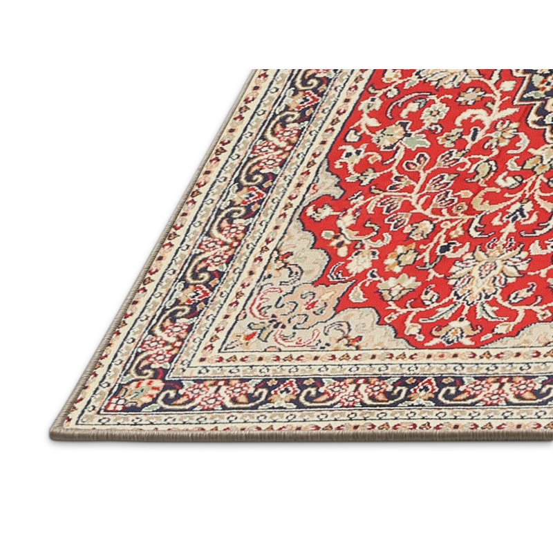 Ruairi Oriental Indoor Rug, Rectangle 4' x 6'