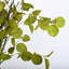 Arrangement de feuilles de brindilles, de brindilles avec des feuilles d'eucalyptus pour la décoration de bureau personnel Johns-88417139