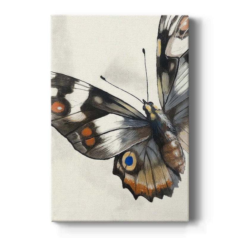 ANIMALS Series CECLX - Gallery Cavas, H 36 po x l 24 po