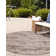 Brown Cartago Indoor/Outdoor Modern Rug