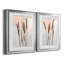 Danita Delimont - ensemble de 2 reproductions de photos-442514285-442514287-442514277