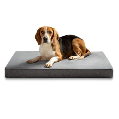 Kinde Pet Bed Accessory
