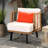 Outdoor Chair Club - Sleek Design And Water- Features Chair For Gardens Modern