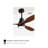 52" Nicola 3 - Blade LED Propeller Ceiling Fan with Remote Control and Light Kit Included-1950426040