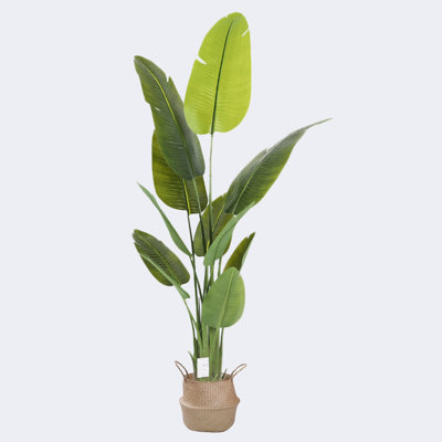 Pot artificiel en forme de feuille de bananier et panier d'herbes marines avec poignées