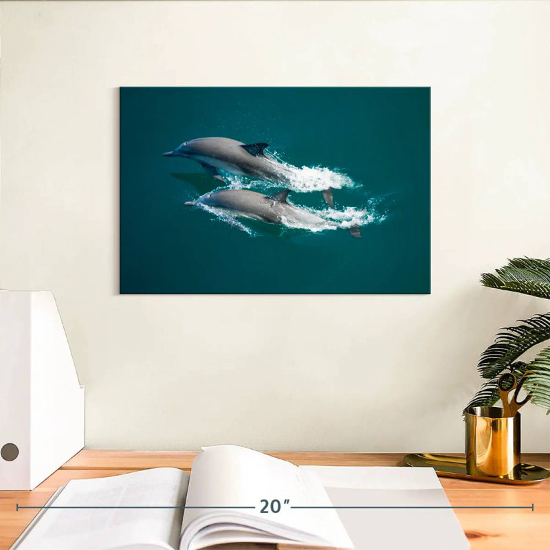 Brampt, mer des dauphins de Cortes, H 8 po x l 12 po