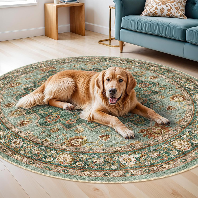 Tapis oriental lavable - Tapis rond de 6 pi pour le salon