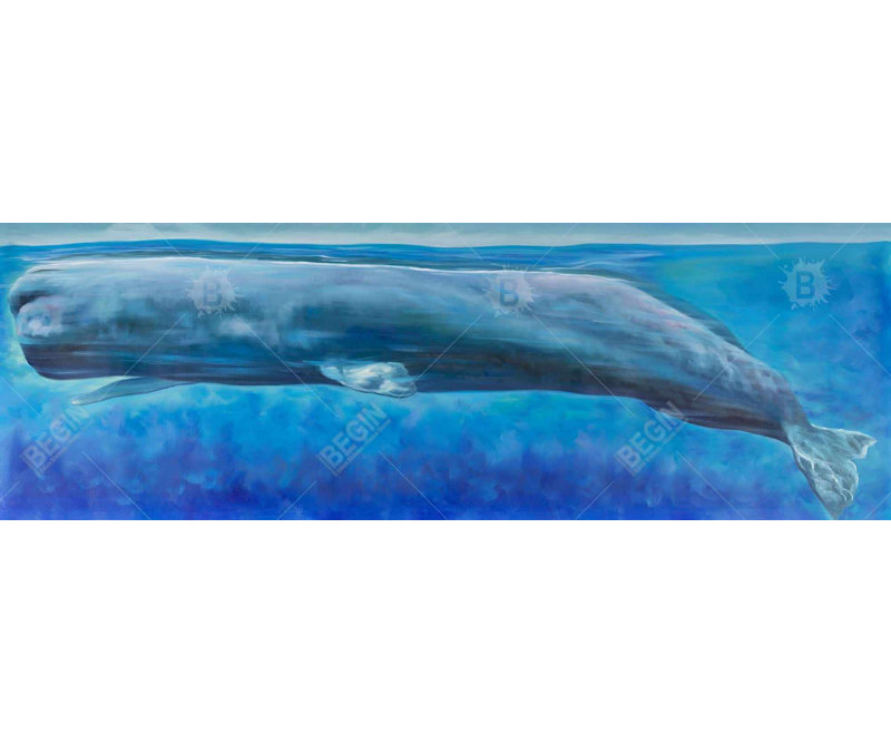 " Sperm Whale "