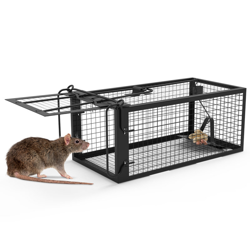 Cage à piège Humane Live Mouse avec Sensitive Trigg