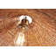 Maude 1 - Light Pendant