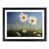 Black Framed selected