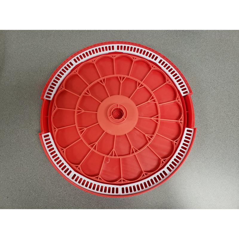 Incubateur 30 œufs pour œufs de poule