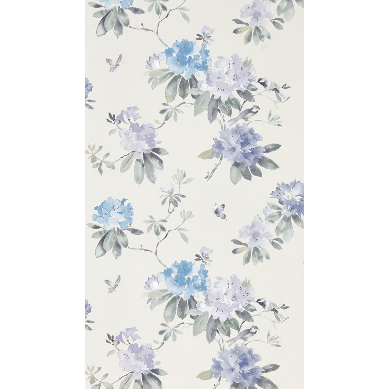 Rhodera, Light Blue