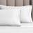 Tipton 1500 Thread Count Certified Egyptian Cotton Ultra-Luxury Pillowcase-22181879-22181878