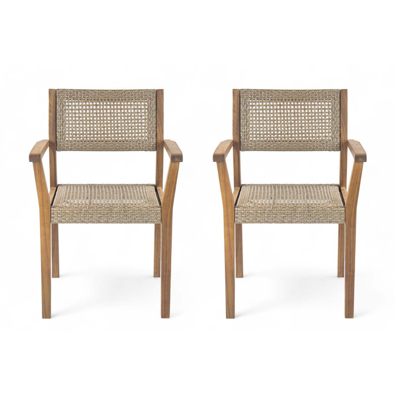 Ensemble de chaises d'extérieur Amaris (ensemble de 2)