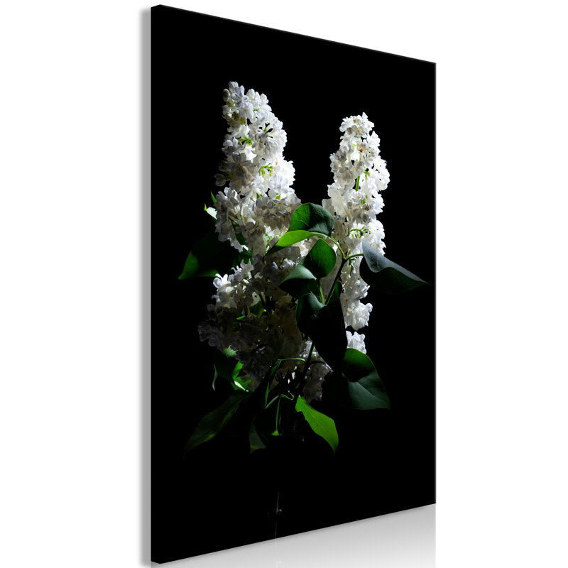 No Frame Print on Canvas, 40cm H x 60cm W