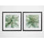 « macro sage fleur », ensemble de 2 reproductions encadrées
