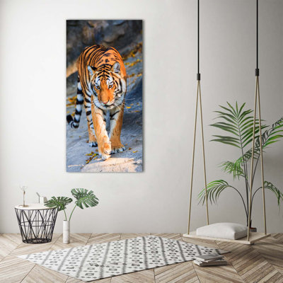 Tiger - Wrapped Canvas Print