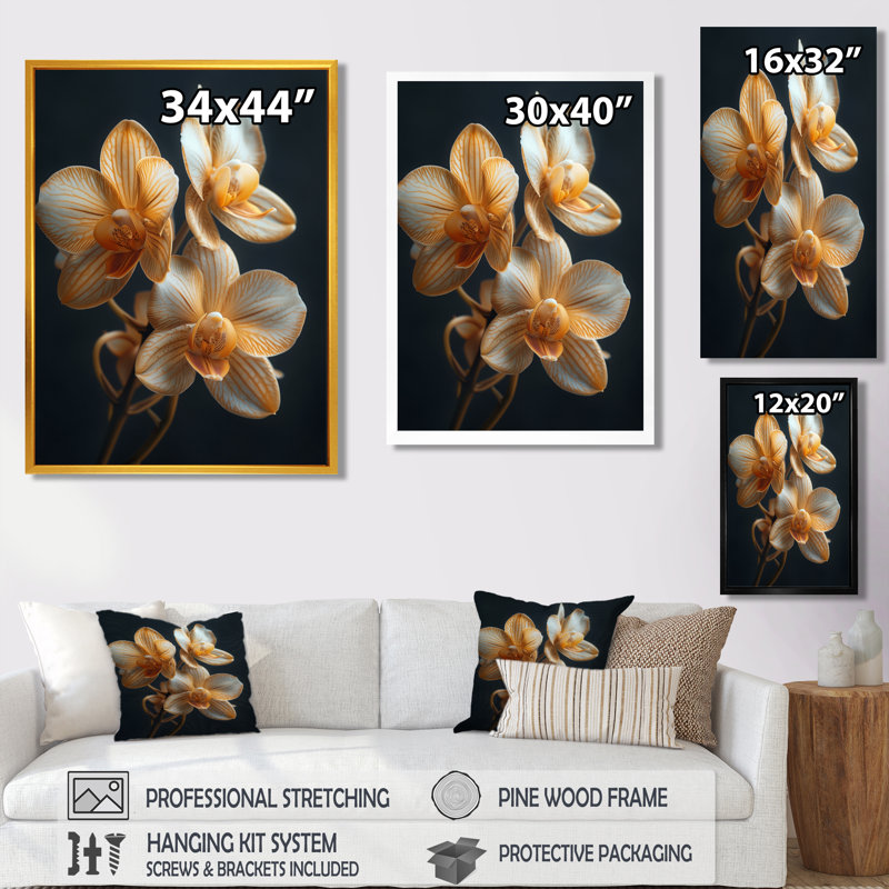 Orchidées noires parfumées Fusion Photo IV - orchidées murales, Encadrement argenté, H 34 po x l 44 po