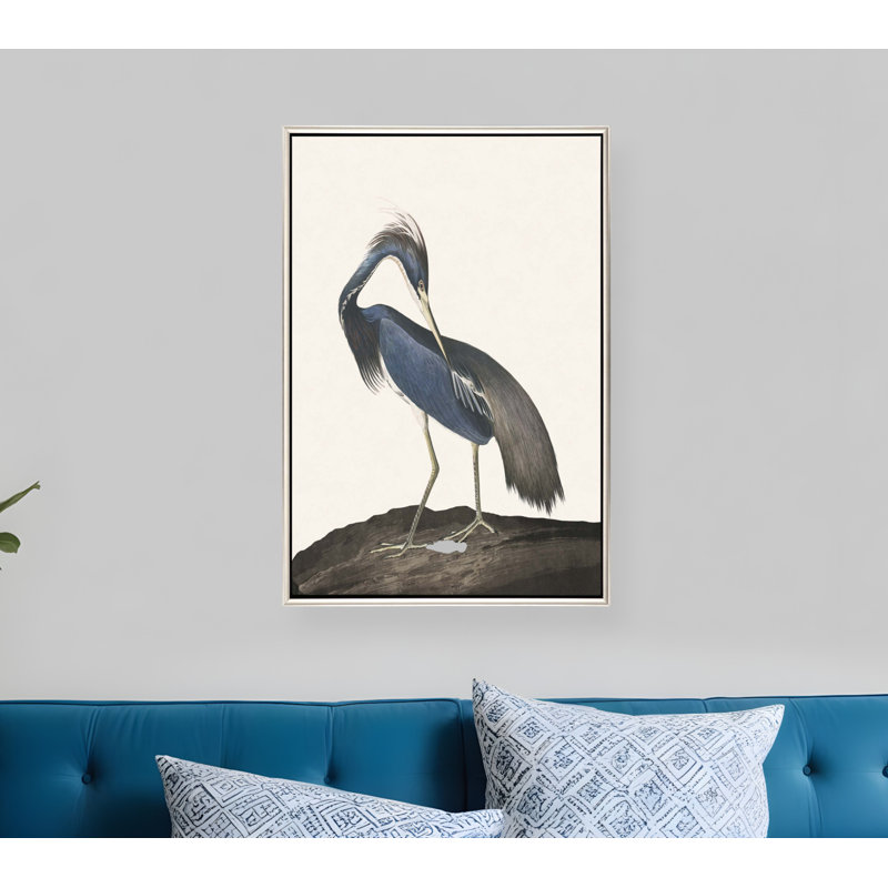 Impression sur toile encadrée «Great Heron II»