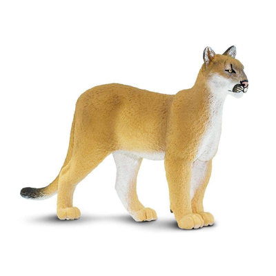 Florida Panther