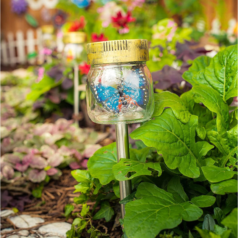 Butterfly Jar Black Solar Powered Integrated LED Glass Pathway Light Pack