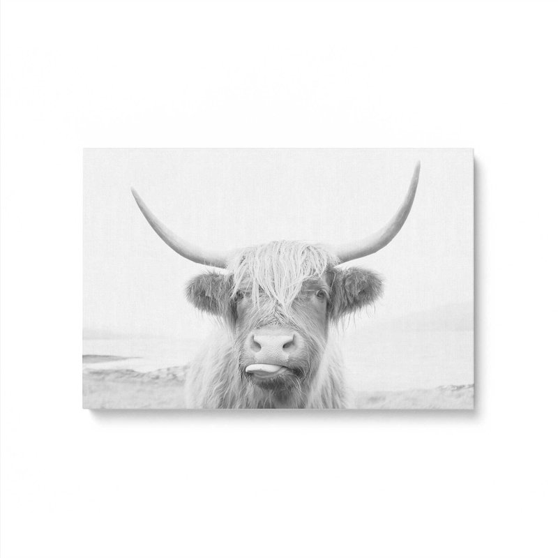 «Playful Highland Cow», reproduction sur toile, H 8 po x l 12 po x P 1,25 po, Toile tendue