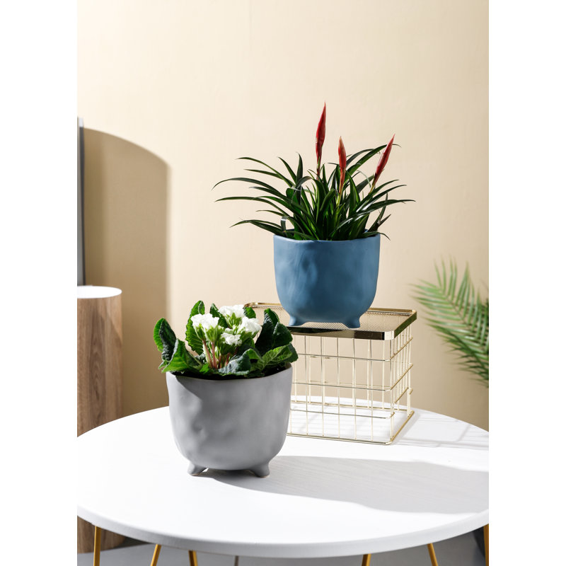 Jardinières 6 po Winda, Bleu foncé mat