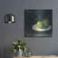 Luxe Green Art «Green Apples I No Border» par Carol «Green Apples I No Border» par Carol Rowan-1206728053
