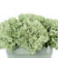 Hydrangea Floral Arrangement-879950689