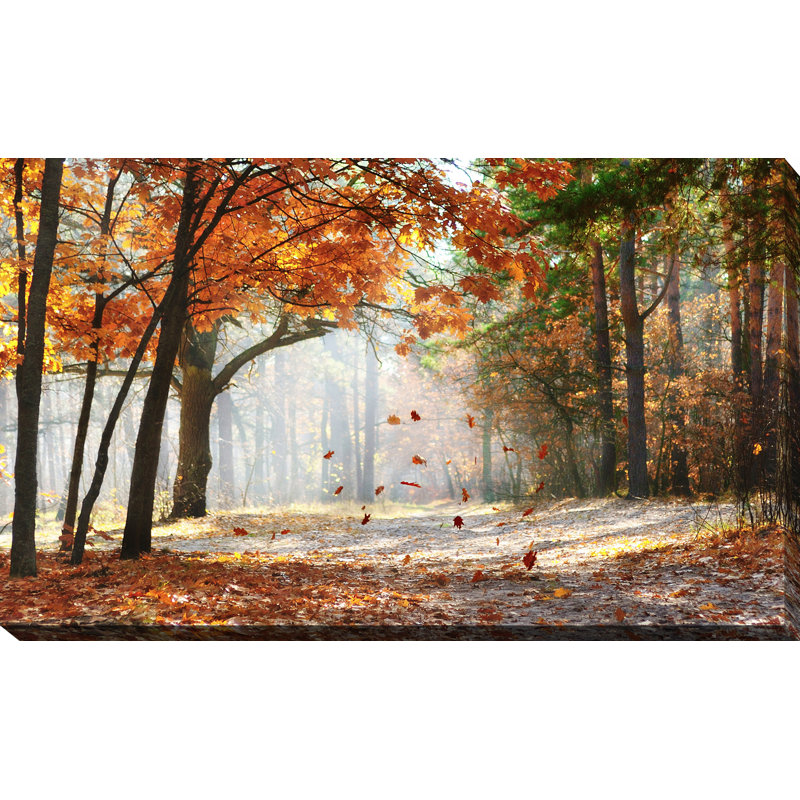 « chutes de feuilles de chêne », reproduction de photo sur toile tendue, H 18 po x l 30 po x P 1 po